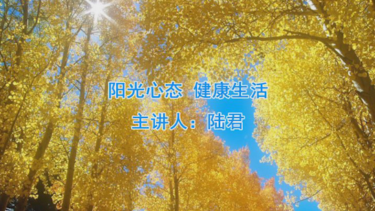 官方主题