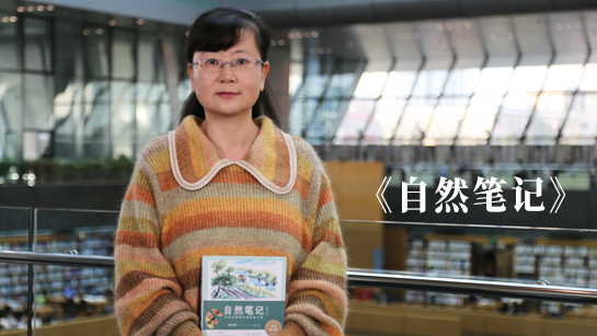 官方主题